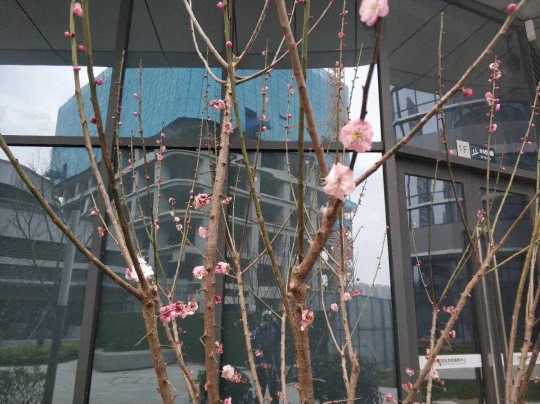 微信图片_20200309105826.jpg