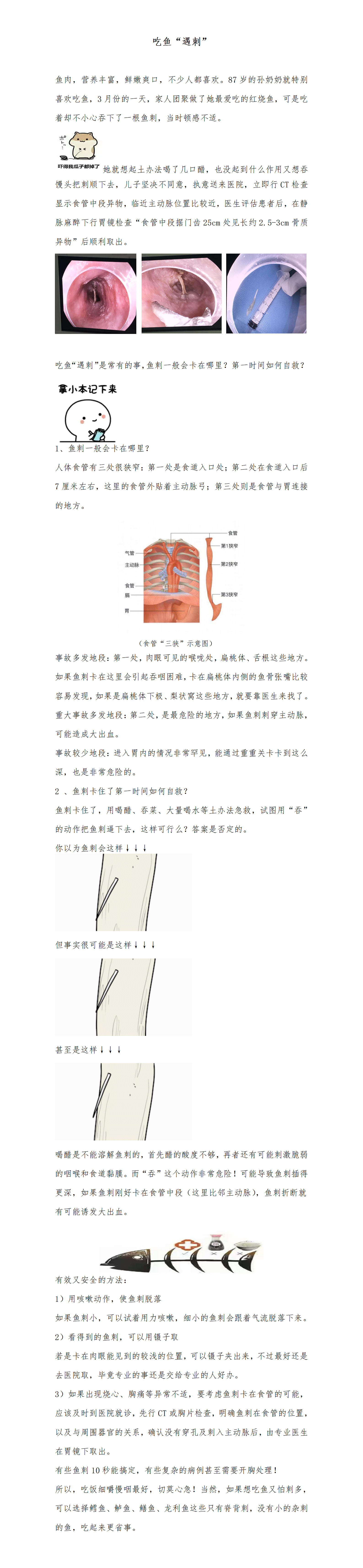 吃鱼“遇刺”.png