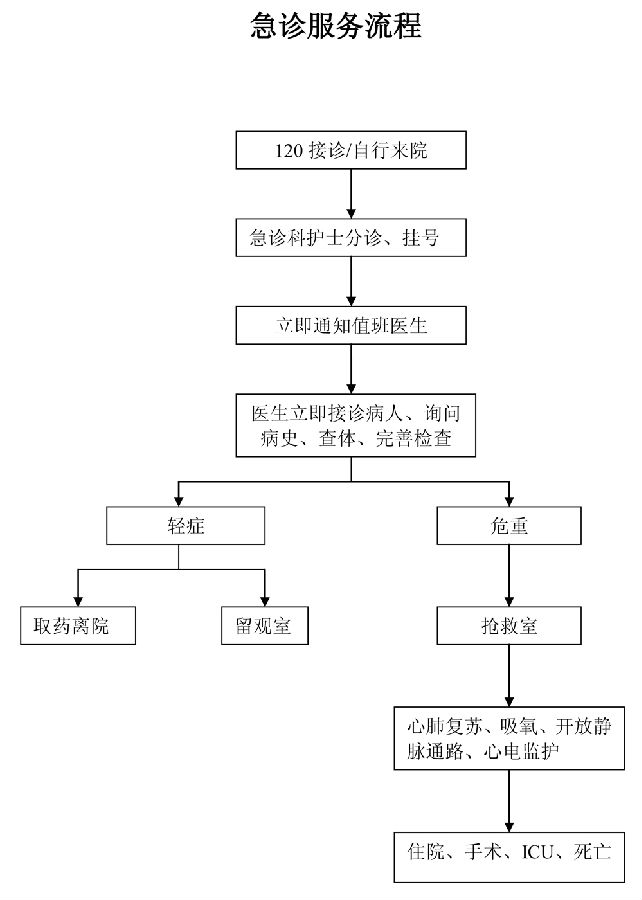急诊科修改简介急诊就诊流程(1).jpg