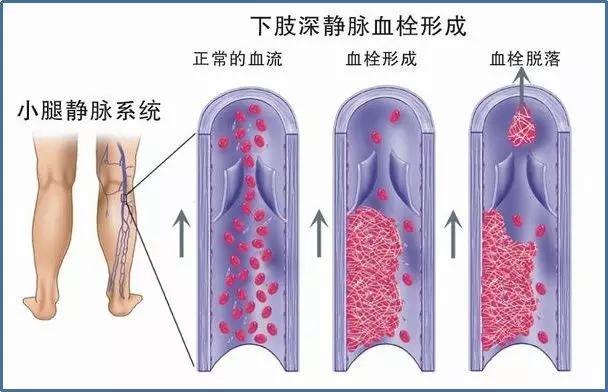 微信图片_20200214103500.jpg 微信图片_20200214103500.jpg