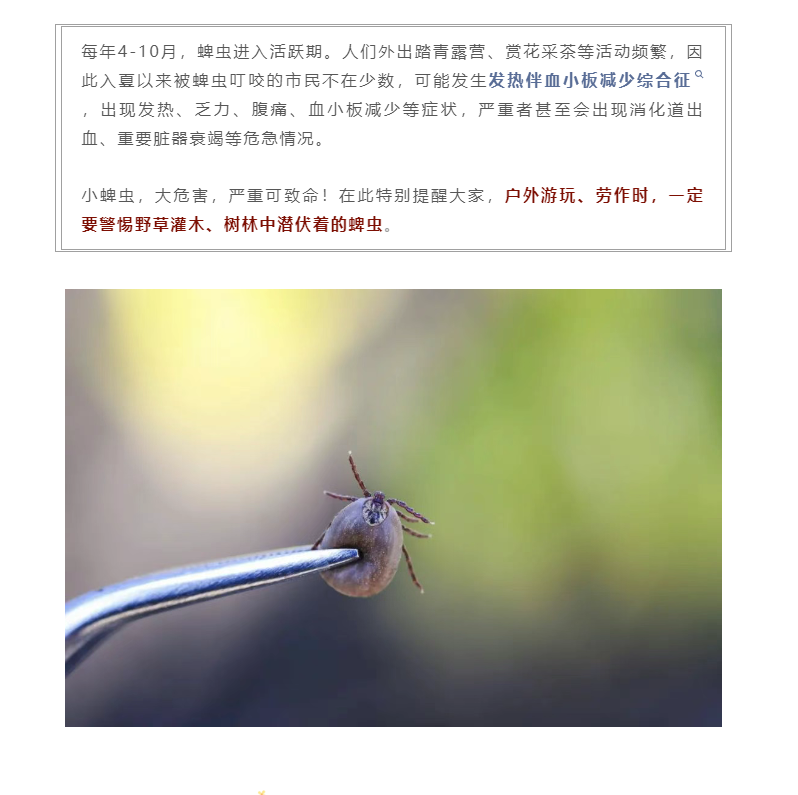 d2c24713683fac9d75e575a63c1607c.png