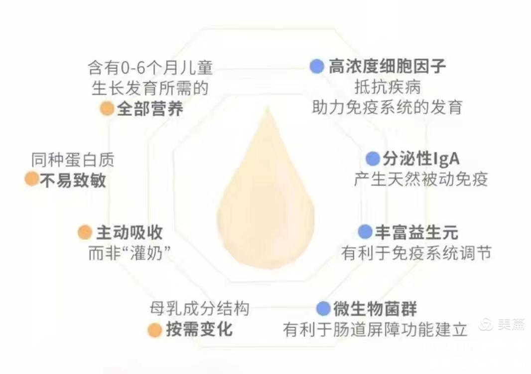 图片 22.png